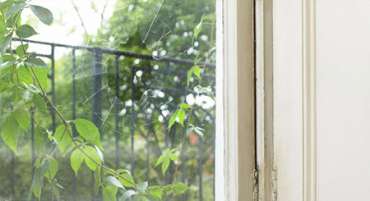 glass replace